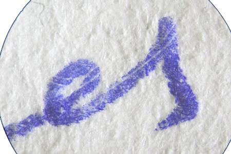 Pericia Caligráfica